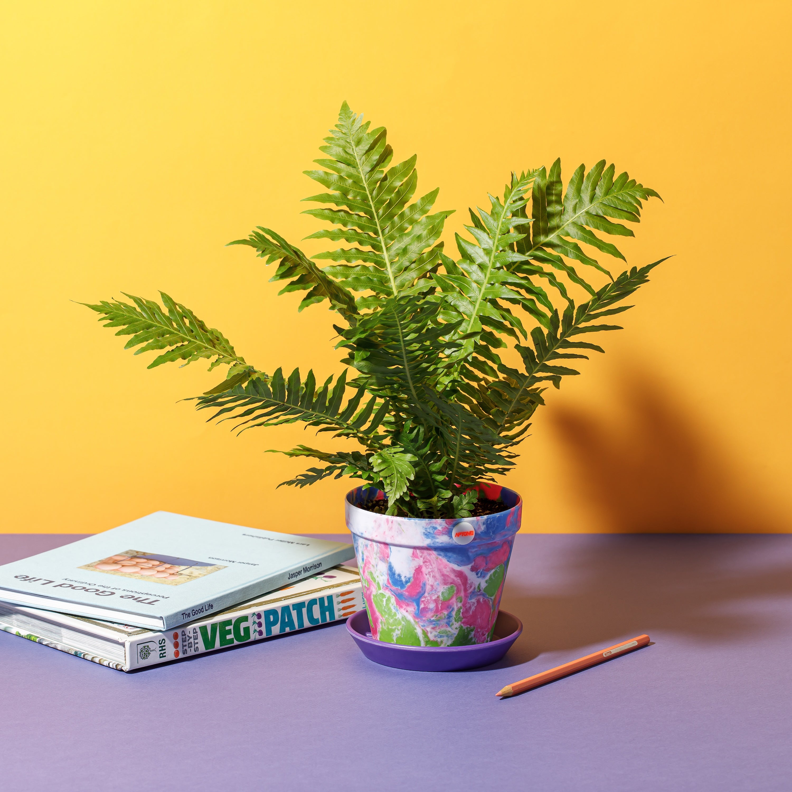 Button Pot
