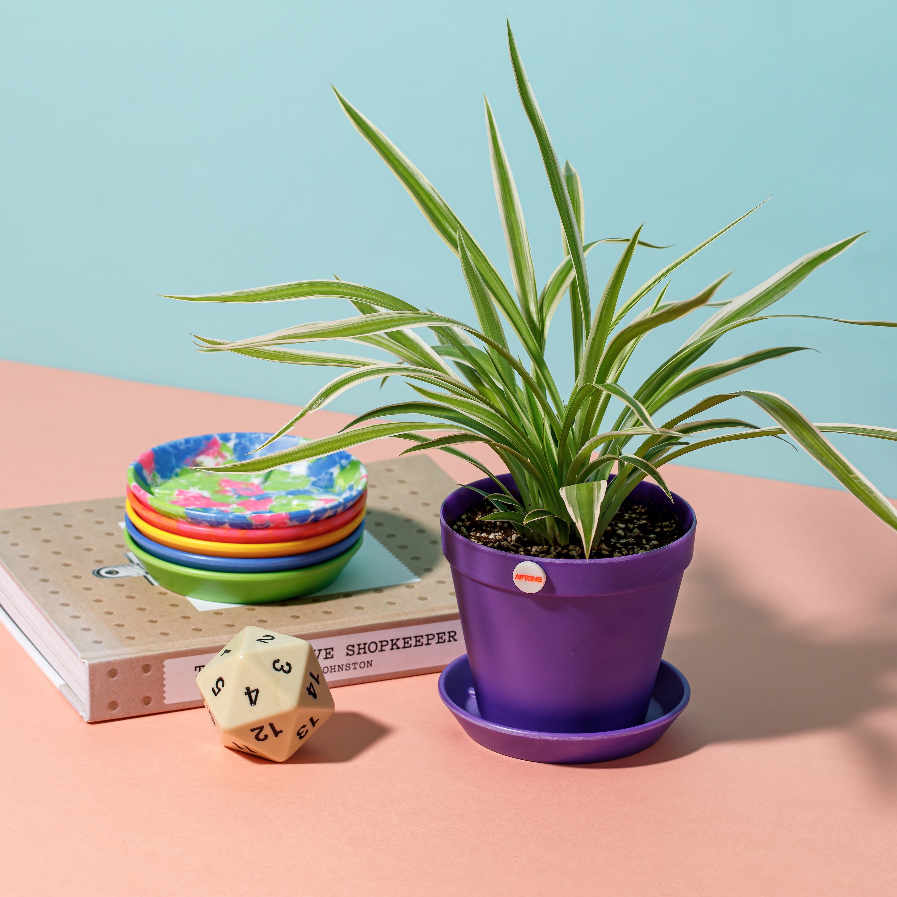 Button Pot