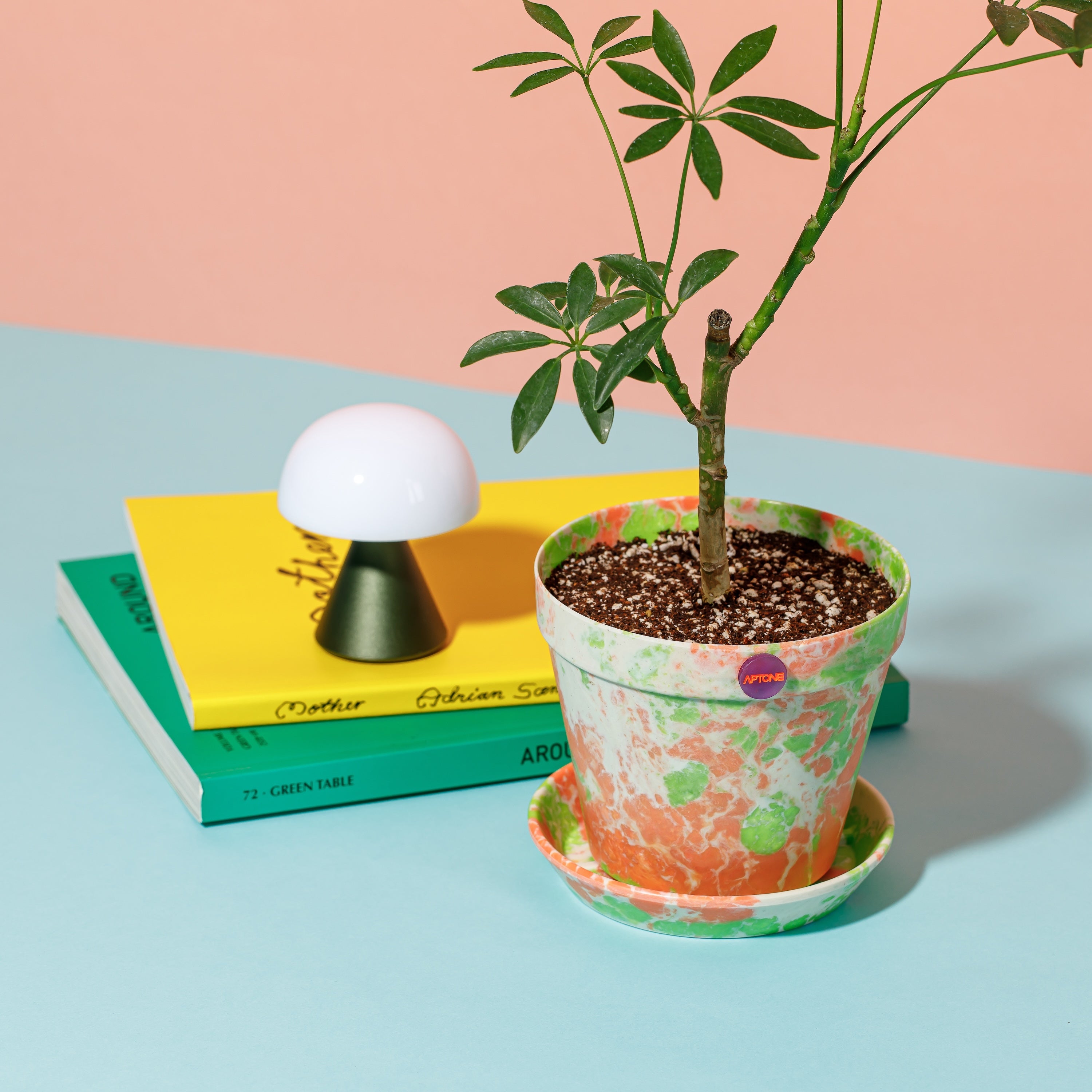 Button Pot