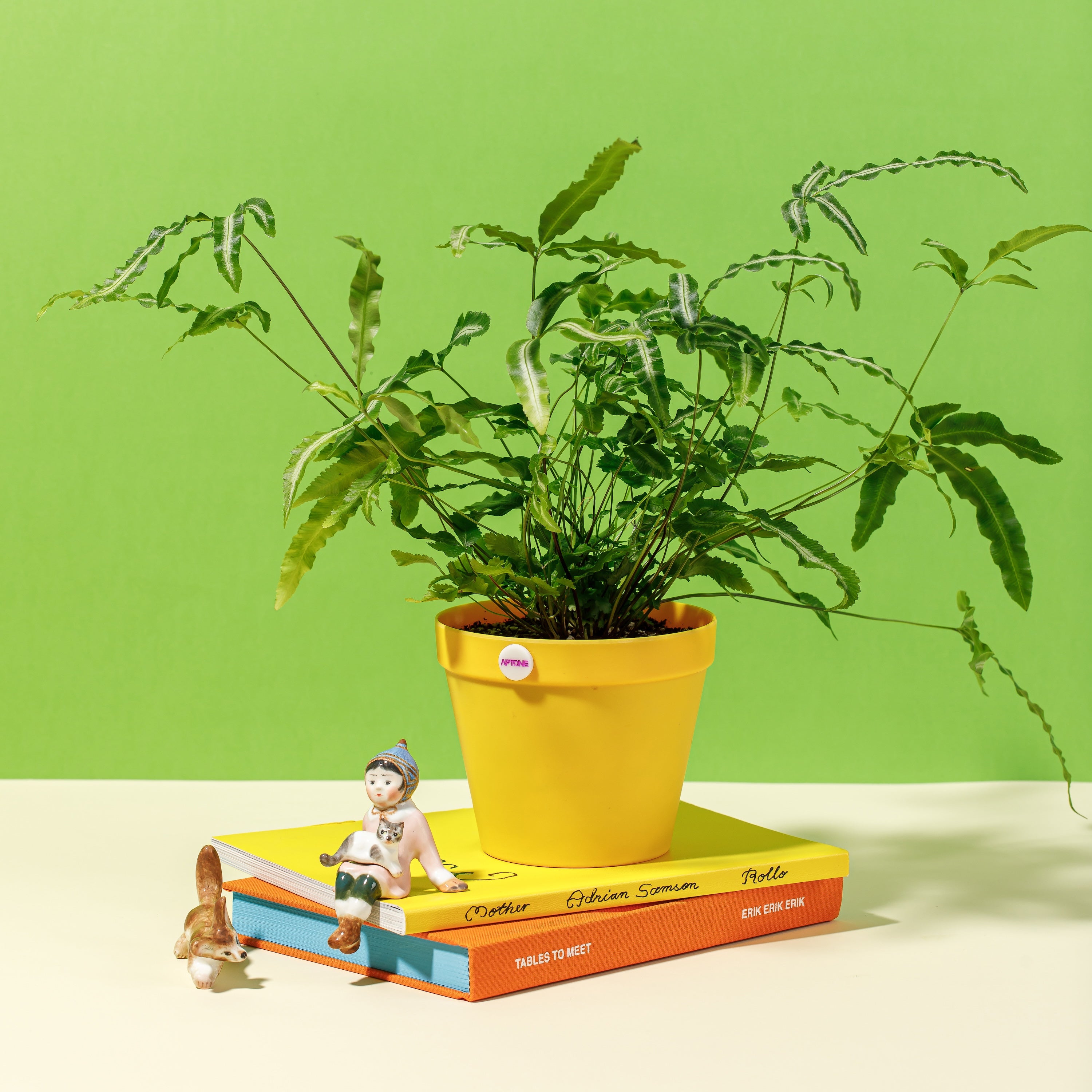 Button Pot